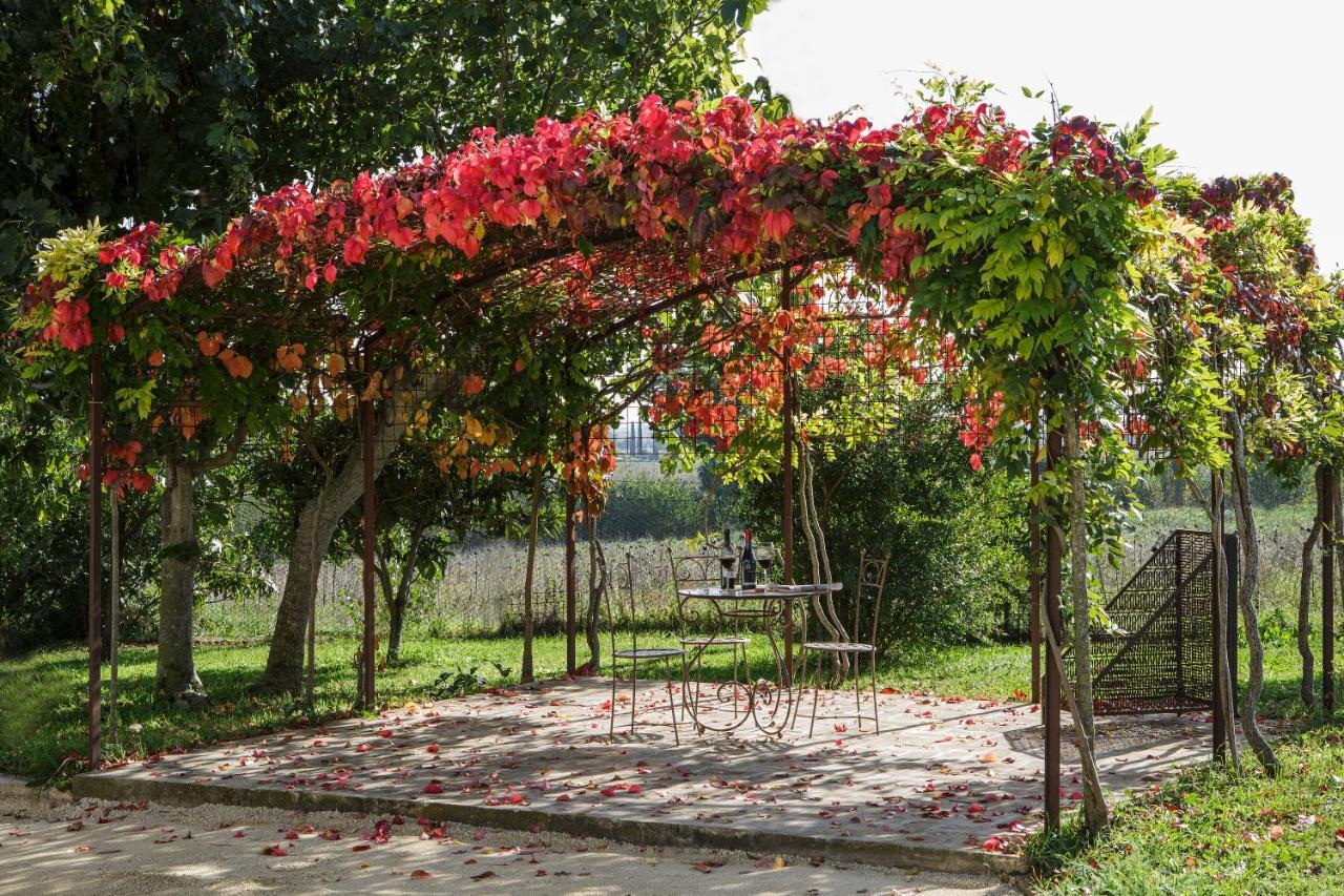Seipetali Aparthotel Cannara Luaran gambar